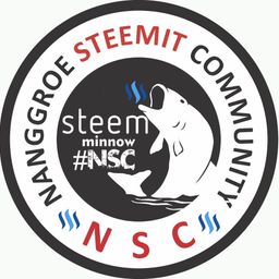 steemitindon