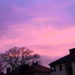 stefanmilde