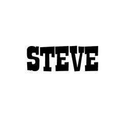 steveaustineric