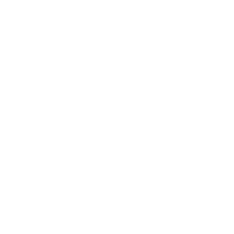 stmboard