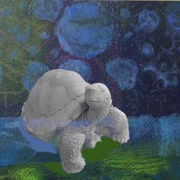 stonetortoise