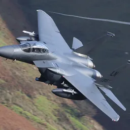 strikeeagle