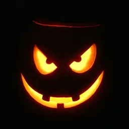 sunnyspooky
