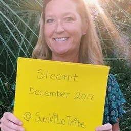 sunvibetribe