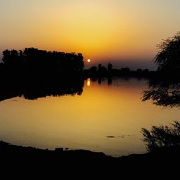 sushilneshal
