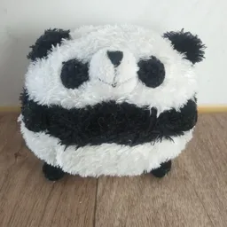 sw007
