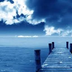tasneem79