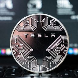 teslastrategy