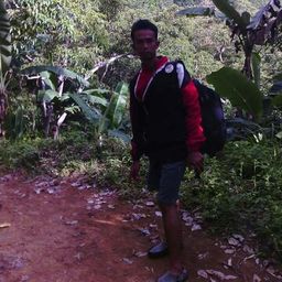 teukufauzul