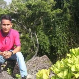 thalep.adli