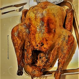 thanksgiving