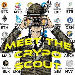 thecryptoscout