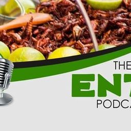 theentopodcast
