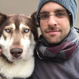 thehuskywolfdog