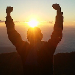 theinspiring