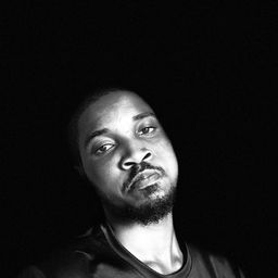 thewisemarketer