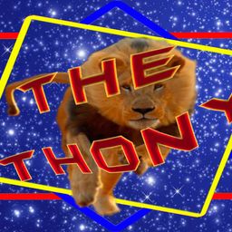 thony48