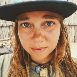 traveleralex