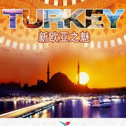 turkeysteem