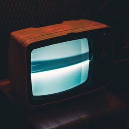 tvhive