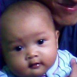 ubaydian