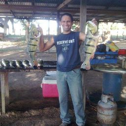 unvirgilio