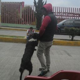 vatoo