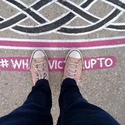 vicdn
