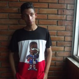 victoralfonzodm