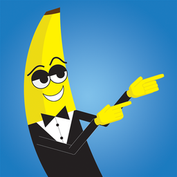 vielzeitplayer