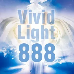 vividlight888