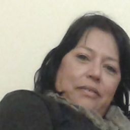 vivis