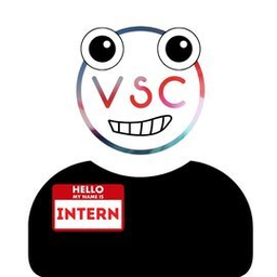 vsc.intern