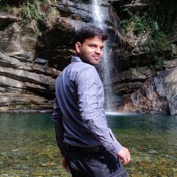 vvimlesh