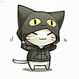 wang.han