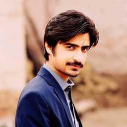 waseemzeb