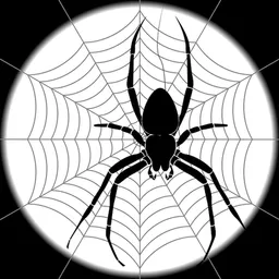 webhoster