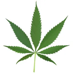 weed