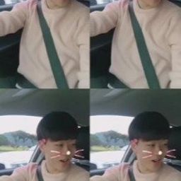 wkdgmlrhkd
