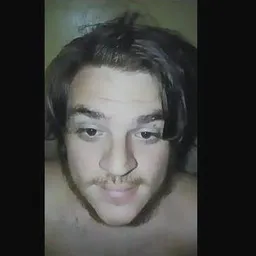wuidoks