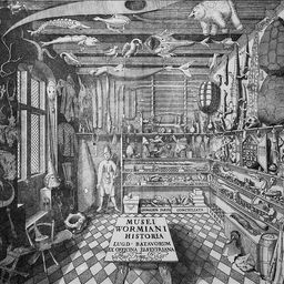 wunderkammer