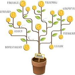 yasincrypto