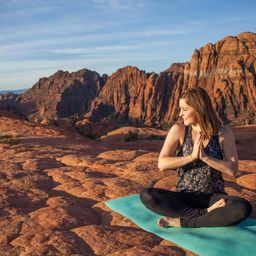 yogimeg