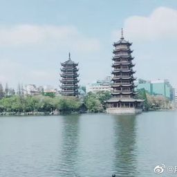 yuanhuahua