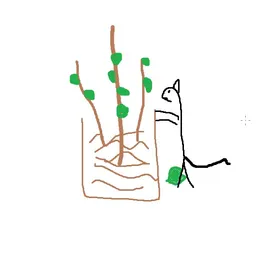zbry