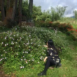 zehazez21