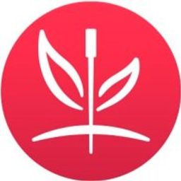 zonataichi
