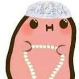zorto