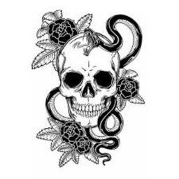 zulia
